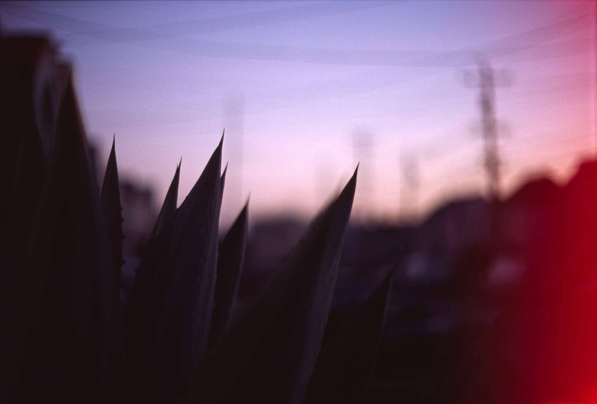 NickyFinn — landscape, 35mm analog film.