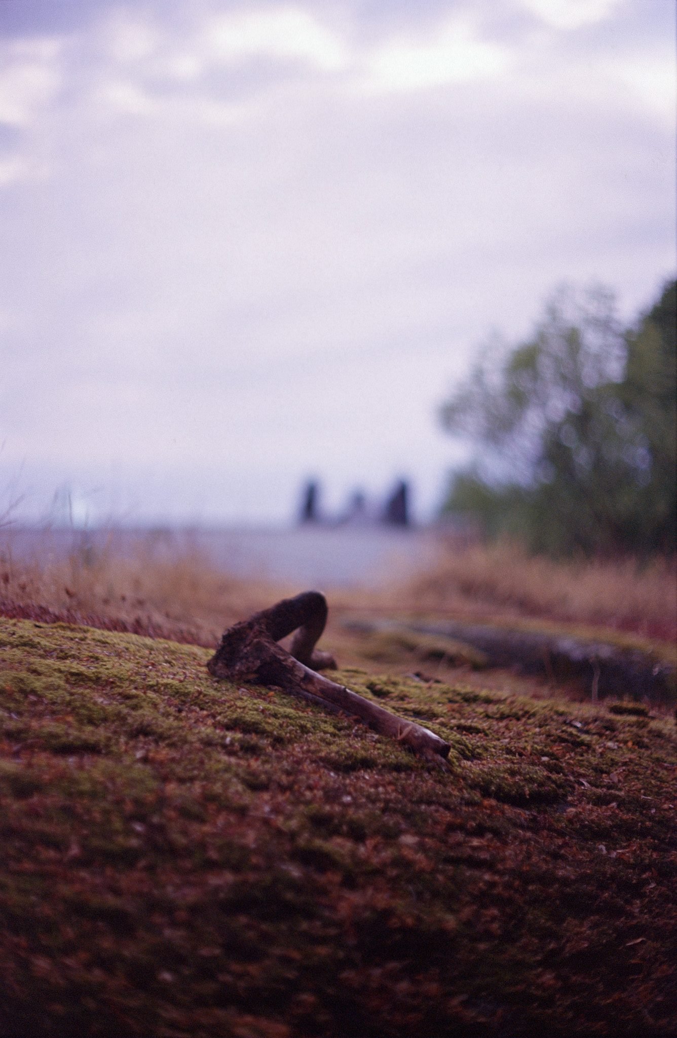 NickyFinn — abstract color, Kodak Ektachrome 100, 35mm.