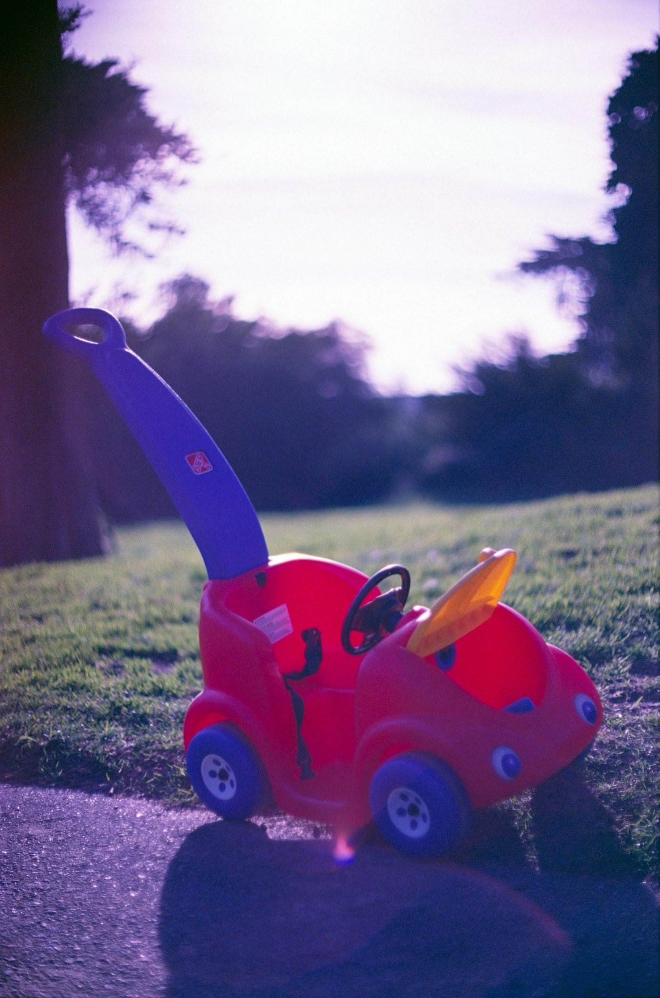 NickyFinn — light study portrait, Kodak Ektachrome 100S, 35mm.