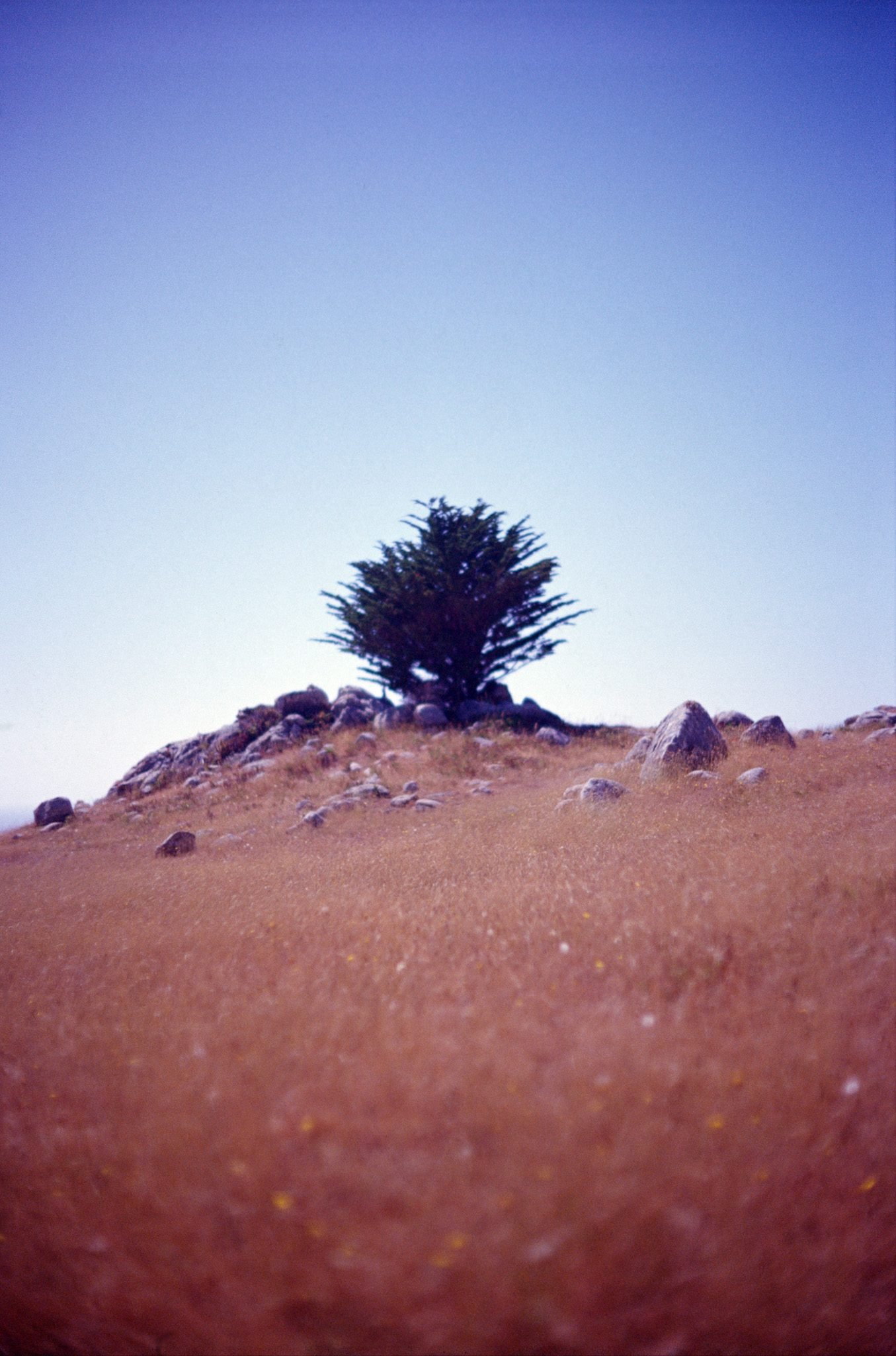 NickyFinn — light study portrait, Kodak Ektachrome 100S, 35mm.