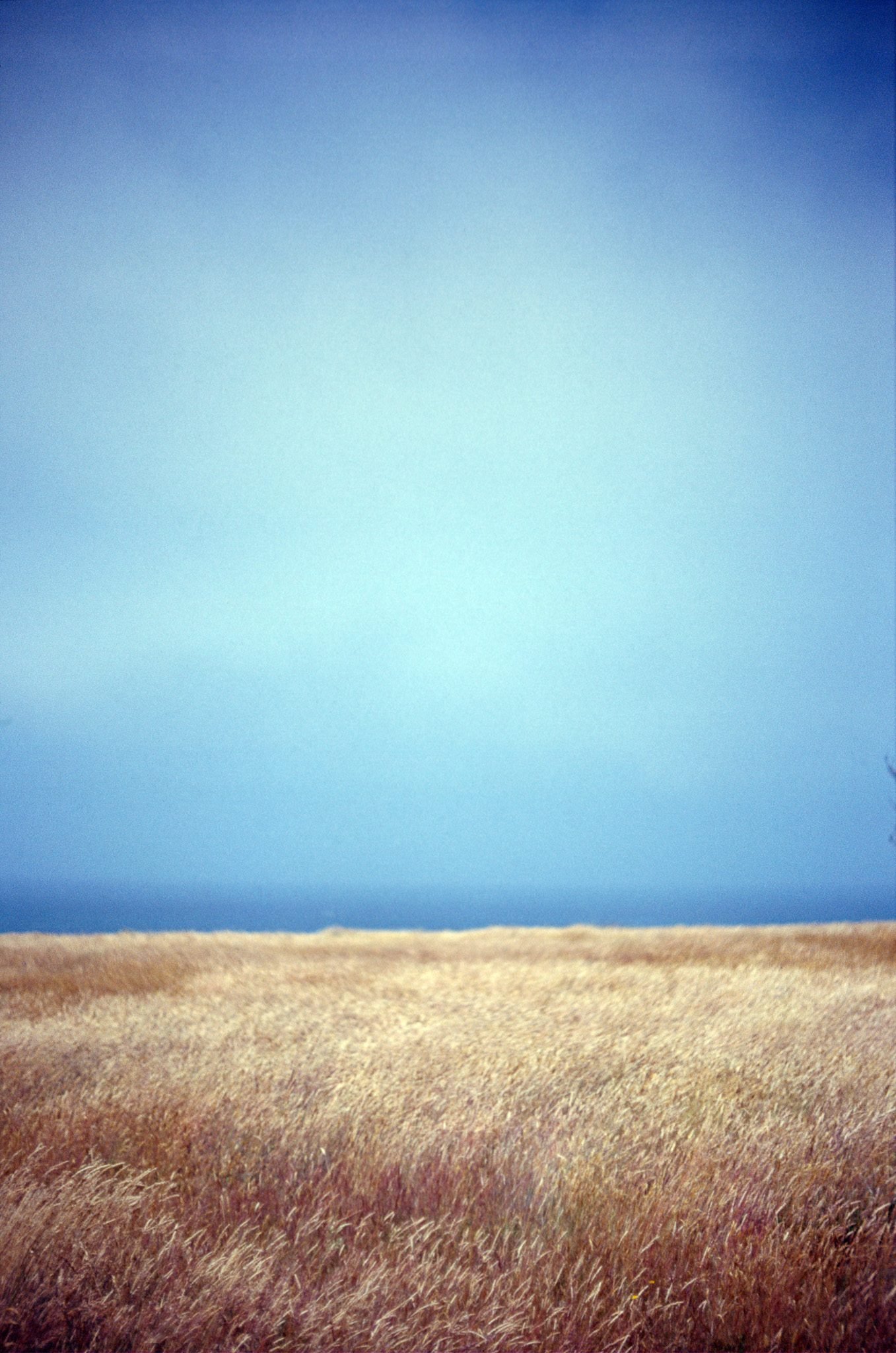 NickyFinn — light study portrait, Kodak Ektachrome 100S, 35mm.
